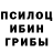 Псилоцибиновые грибы мухоморы Vlada Yashuk